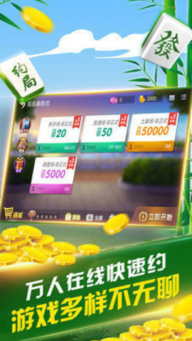 手机微乐河南麻将开挂神器下载，微乐河南麻将开挂视频