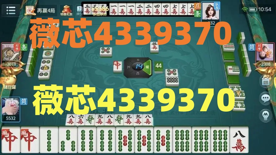 中至九江麻将怎么开挂，中至九江麻将可以开挂吗